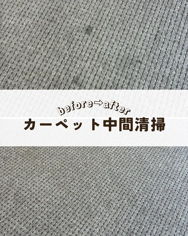 島根県出雲市でカーペットの中間清掃を行いました