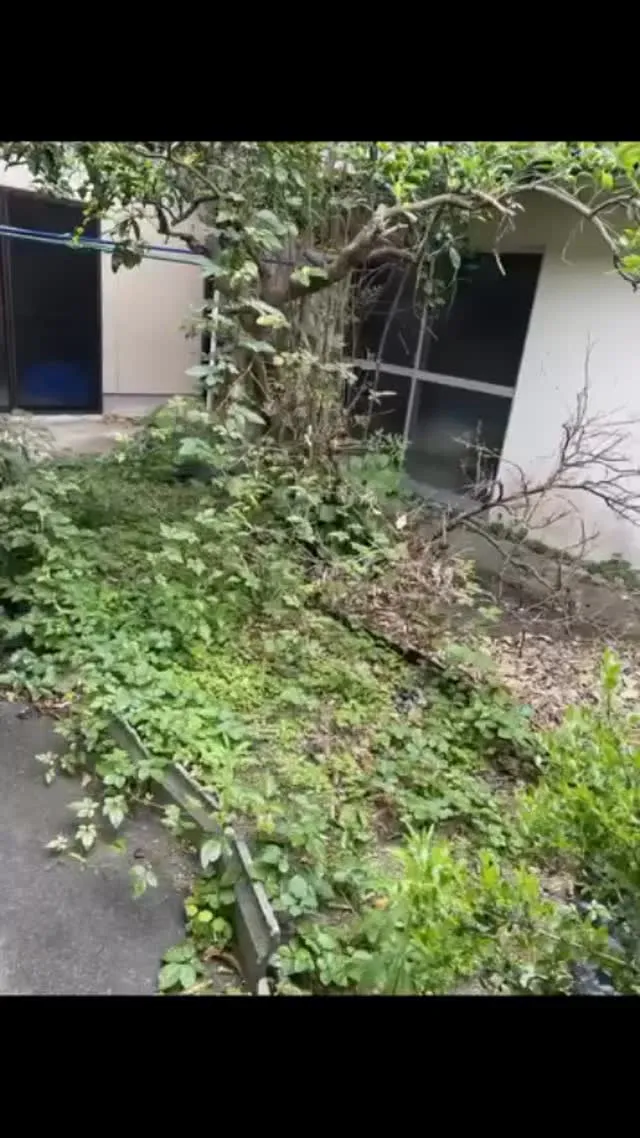 庭の手入れをしませんか